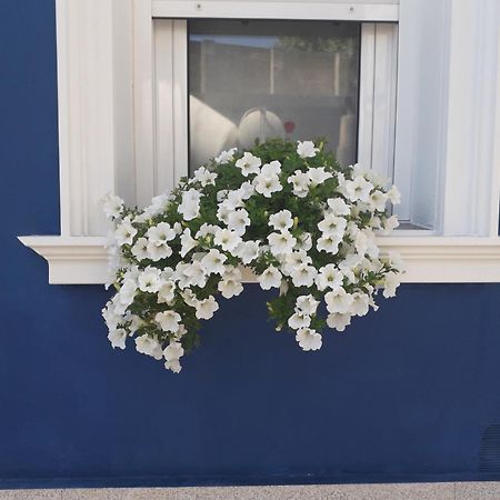 Casa Jardin Villa Monforte De Lemos Kültér fotó