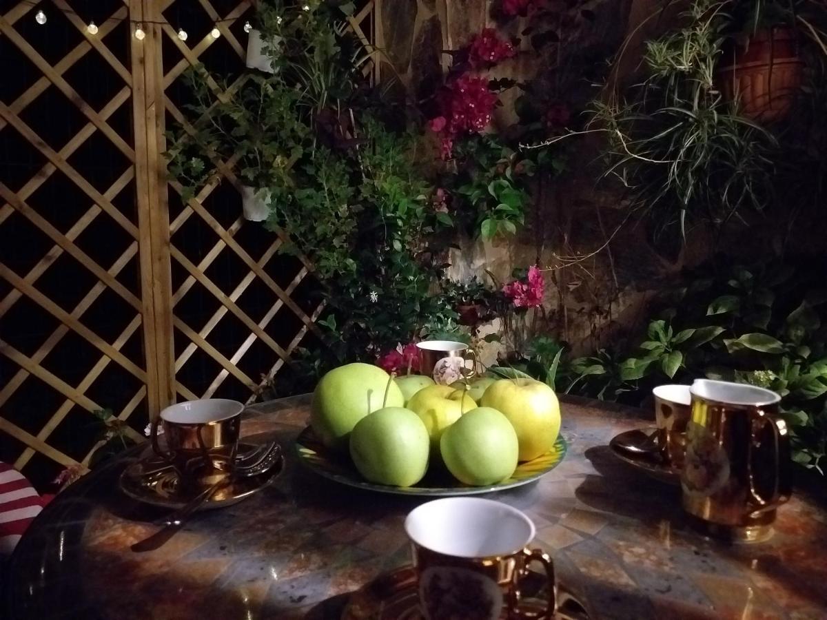 Casa Jardin Villa Monforte De Lemos Kültér fotó