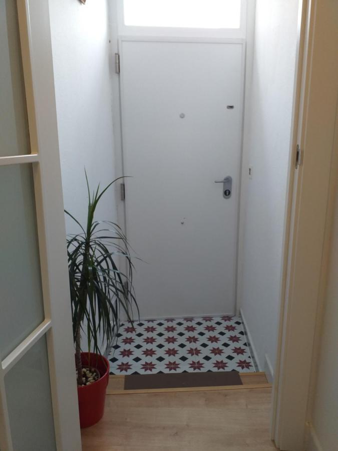 Casa Jardin Villa Monforte De Lemos Kültér fotó